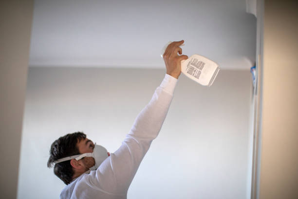 Best Bathroom Mold Remediation in East Highland Park, VA