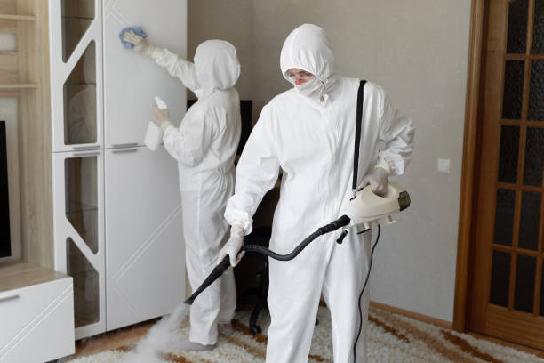 Best Post-Remediation Services in East Highland Park, VA