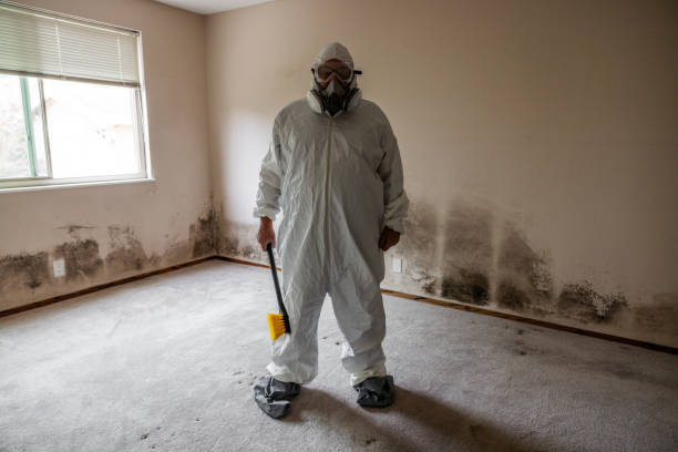 Best Mold Remediation for Specific Building Types in East Highland Park, VA