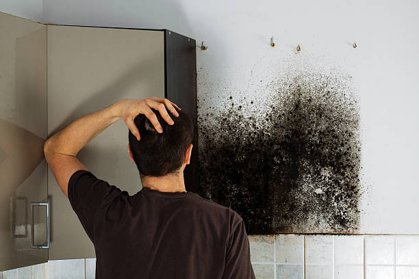 Best Industrial Mold Remediation in East Highland Park, VA